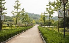 距国度一类口黄石棋盘洲船埠仅20公里